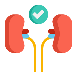 calculos renales nefrologia