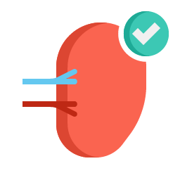enfermedad renal cronica